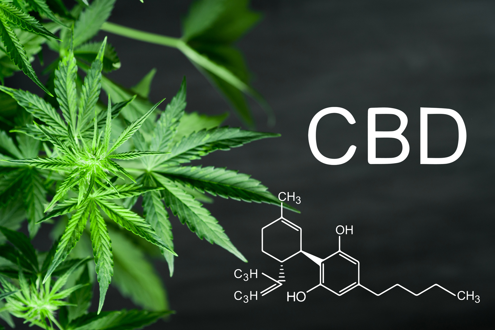 Aesculap Cannabis – Wo Cannabis als Medizin Ihnen Luxus-Renditen beschert