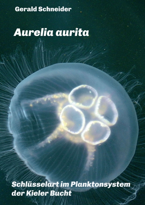 Aurelia aurita – Schlüsselart im Planktonsystem der Kieler Bucht