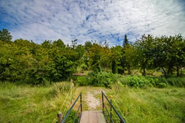 Tierfriedhof: Ökologische Tierbestattungen „Am Ort der Trauer leben fördern“