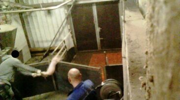 Erneut unglaubliche Tierquälerei in niedersächsischer Schweinemast aufgedeckt