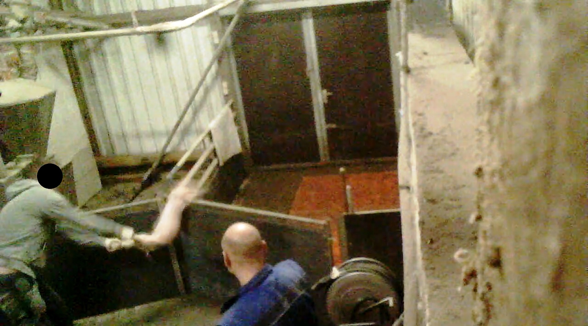 Erneut unglaubliche Tierquälerei in niedersächsischer Schweinemast aufgedeckt