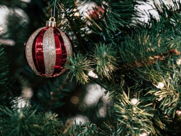Mit Umweltbewusstsein in der Weihnachtszeit glänzen: Trotz Shutdown defekte Weihnachtsbeleuchtung fachgerecht