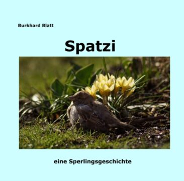 Spatzi – Ein Sperling wird erwachsen