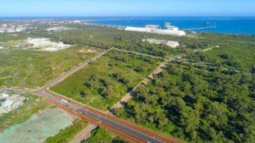 Aktie von EcoGraf outperformt den Markt und den Wettbewerb