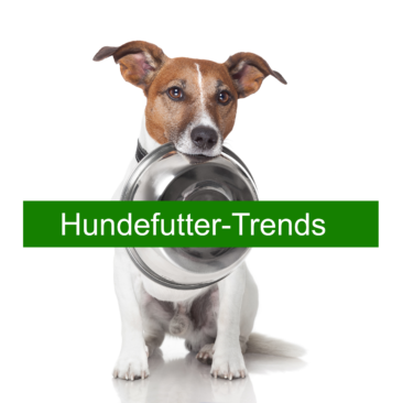 Hundefutter-Trends: Selbstgekochtes für den Hund statt Fertigfutter