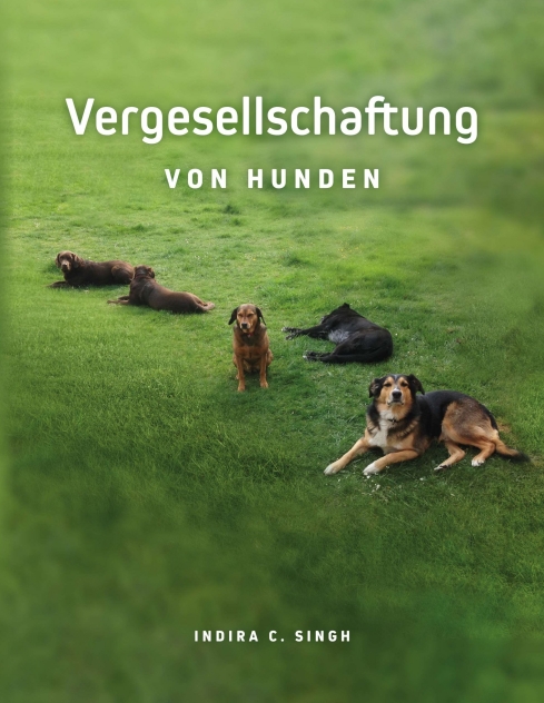 Vergesellschaftung von Hunden – Einblicke in Rudelstellungen