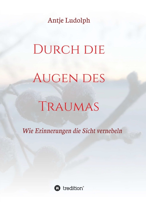 Durch die Augen des Traumas – Interessante Gedichte-Sammlung
