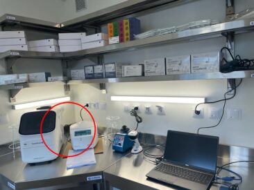 Wie lassen sich komplette Großstädte auf SARS-CoV-2 in 3 Tagen mittels PCR freitesten?