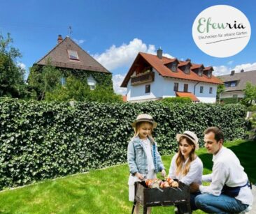 Die schnellste Hecke der Welt