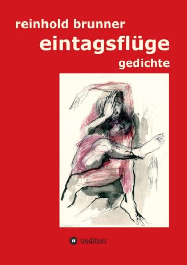 eintagsflüge – Gedichte und Songtexte
