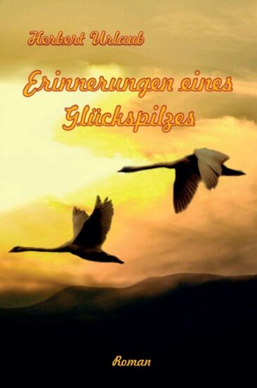 Erinnerungen eines Glückspilzes – Emotionaler Schicksalsroman