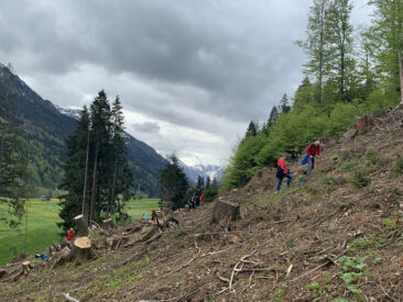 greiterundcie. macht Marketing im Bergwald