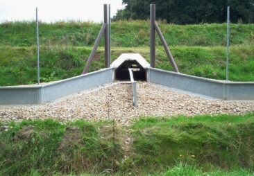 Amphibienpopulationen wirkungsvoll schützen