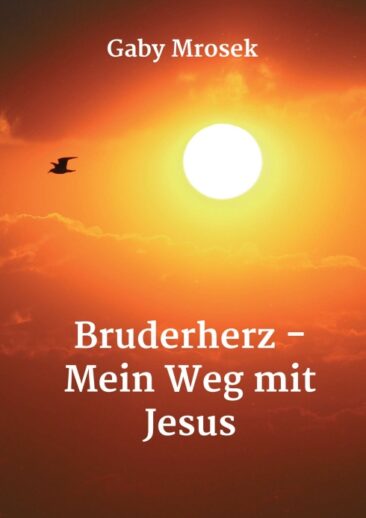 Bruderherz – Mein Weg mit Jesus – Spiritueller Erzählung für mehr Lebensfreude