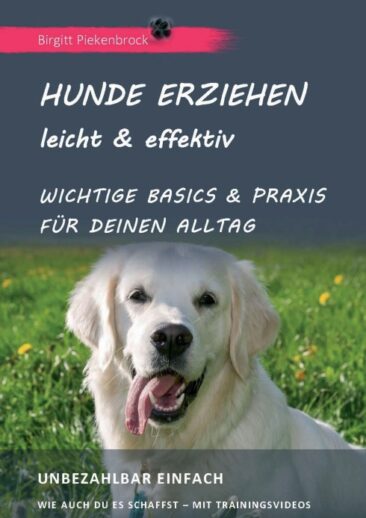 Hunde erziehen – leicht & effektiv – Wichtige Basics & Praxis für Deinen Alltag