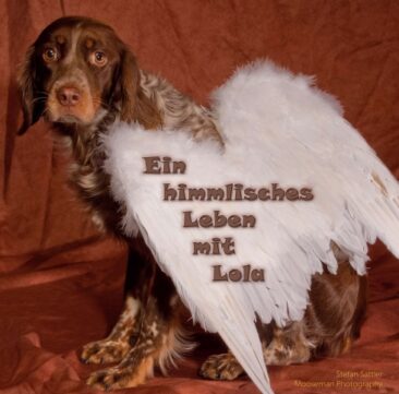 Ein himmlisches Leben mit Lola – Ein wunderbares Hunde-Fotobuch