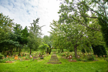 Der erste Tierfriedhof in Deutschland wird 25