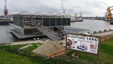 Deutsches Tierschutzbüro veröffentlicht Drohnenaufnahmen von schwimmendem Kuhstall in Rotterdam