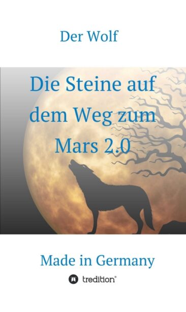 Die Steine auf dem Weg zum Mars 2.0 – Ein Tatsachenbericht