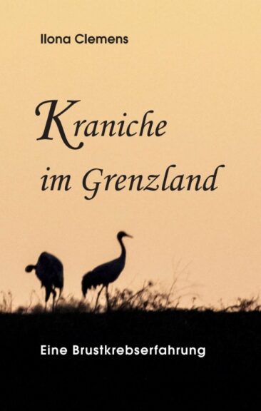 Kraniche im Grenzland – Authentischer Erfahrungsbericht