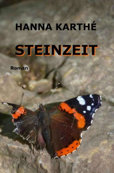 Steinzeit – Ein unter die Haut gehender Familienroman aus der Nachkriegszeit