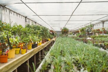 Urban Greening Camp in Leipzig für Artenschutz, Cleantech, Greentech und Vertical Farming