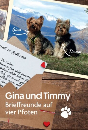 Gina und Timmy – Brieffreunde auf vier Pfoten