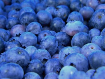 Bio-Beeren knapp, Bio-Gurken kaum zu kriegen
