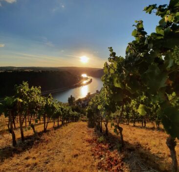 Loreley Touristik e.V.: Neue Angebote für Frühaufsteher, Nachteulen und Schlender-Wochenendler