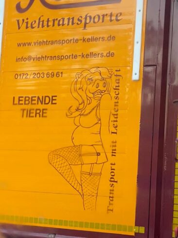 Werberat rügt Firma für Tiertransporte wegen sexistischer Werbung