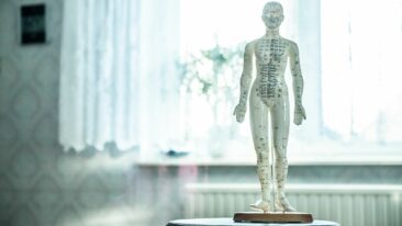 Dr. (Boshi) of Medicine Caroline Klann (Univ. Shangdong) zur Akupunktur – Akupunktur als wirksame Methode