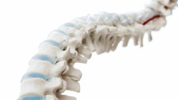Dr. (Boshi) of Medicine Caroline Klann (Univ. Shangdong) zur Osteopathie – Informationen zur ganzheitlichen Me