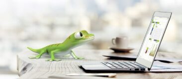 CSS AG stellt aktuelles Major Release 37.5 von eGECKO vor