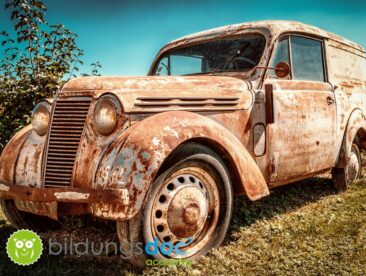 ‚Intelligentes‘ Work & Travel als Crash-Schule fürs Leben