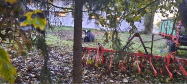 Tierquälerei in Themar: Kranke „Downer“-Kuh zum Sterben vor den Stall gelegt