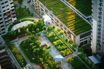 Urban Greening Camp Startup für Cleantech und Greentech-Innovationen sowie Vertical Farming Technologien