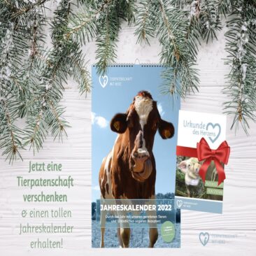 Das nachhaltigste Weihnachtsgeschenk für alle, die Tiere lieben: “Tierpatenschaft mit Herz” verschenken
