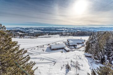 skywalk allgäu – Saisonstart mit abwechslungsreichem Winterprogramm ab 28.01.2022