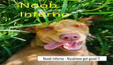 E-Sport Gruppe „Noob Inferno“ postet seine Spiele auf Youtube