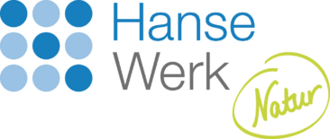Fernwärme in Wahlstedt: HanseWerk Natur prüft Heizung der Kunden, um Energiekosten zu senken