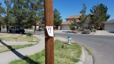 Pandemie oder Wirtschaftkriminalität – Wenn Manager oder Führungskräfte  einfach spurlos verschwinden