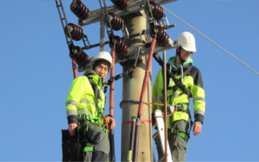 HanseWerk: Die Energiewelt mitgestalten – Freie Ausbildungsplätze bei Schleswig-Holstein Netz!