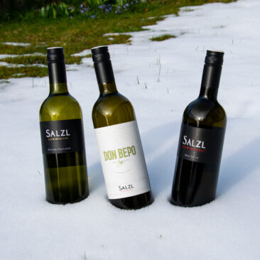 Kulinarischer Kurztrip zum Neusiedlersee: