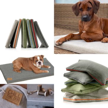 Nur ein Hundebett für ein ganzes Hundeleben