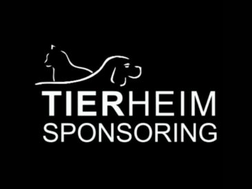 Tierheimsponsoring: Rettung für die Tierheime