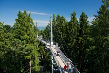 Neue Attraktion ab 21.05.2022: skywalk allgäu eröffnet „Naturerlebnisgarten – Biene und Blüte im Jahreslauf“
