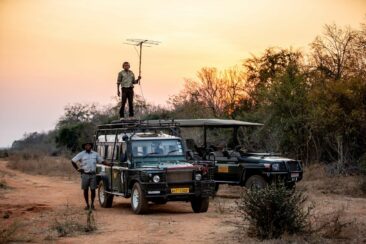 Great Plains Foundation startet Initiative „Rewild Zambezi“ in Simbabwe