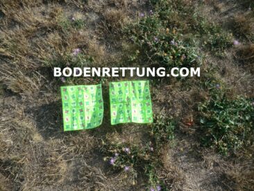 Bodenrettung und Bodenschutz – Dürre-tolerante Bodendecker, Klimawandelanpassung und Tiefenlockerung