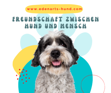 Unsere besten Freunde
