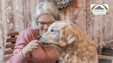 In 6 einfachen Schritten zur Futterempfehlung für Ihren Hund